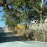  Land for rent in Merida, Yucatan, Merida