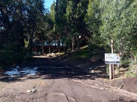  Land for sale in Neuquen, Lacar, Neuquen