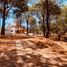  Terreno (Parcela) en venta en Mazamitla, Jalisco, Mazamitla