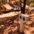  Terreno (Parcela) en venta en Mazamitla, Jalisco, Mazamitla
