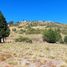  Land for sale in Huiliches, Neuquen, Huiliches