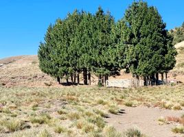  Land for sale in Huiliches, Neuquen, Huiliches