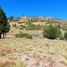  Land for sale in Huiliches, Neuquen, Huiliches