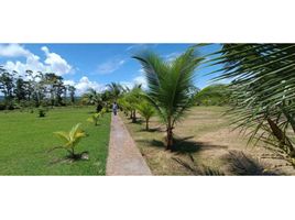 2 Schlafzimmer Villa zu verkaufen in Bocas Del Toro, Bocas Del Toro, Tierra Oscura, Bocas Del Toro, Bocas Del Toro