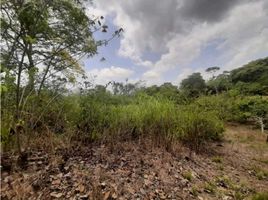  Terreno (Parcela) en venta en Arraiján, Panamá Oeste, Vista Alegre, Arraiján