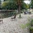 11 Habitación Casa en venta en Campeche, Campeche, Campeche, Campeche