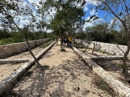  Grundstück zu verkaufen in Merida, Yucatan, Merida, Yucatan, Mexiko