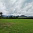 Terrain à vendre à Rionegro, Antioquia, Rionegro