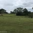  Land for sale in Tolima, Melgar, Tolima