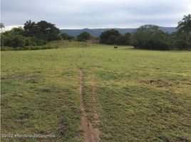  Terreno (Parcela) en venta en Tolima, Melgar, Tolima