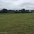  Land for sale in Tolima, Melgar, Tolima