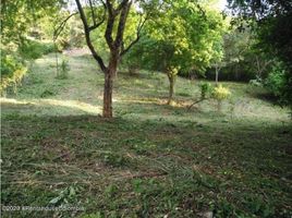  Terreno (Parcela) en venta en Tolima, Melgar, Tolima