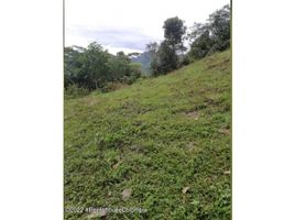  Terreno (Parcela) en venta en Sasaima, Cundinamarca, Sasaima