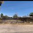  Land for rent in Culiacan, Sinaloa, Culiacan, Sinaloa