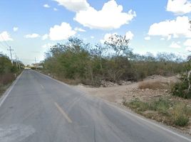  Terreno (Parcela) en venta en Merida, Yucatán, Merida, Yucatán