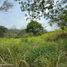  Land for sale in Anapoima, Cundinamarca, Anapoima