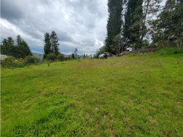  Terreno (Parcela) en venta en Cathedral of the Immaculate Conception, Cuenca, Cuenca, Cuenca