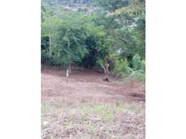  Terrain for sale in La Chorrera, Panama Oeste, El Coco, La Chorrera