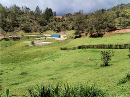  Grundstück zu verkaufen in San Vicente, Antioquia, San Vicente