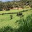  Grundstück zu verkaufen in San Vicente, Antioquia, San Vicente