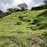  Grundstück zu verkaufen in San Vicente, Antioquia, San Vicente