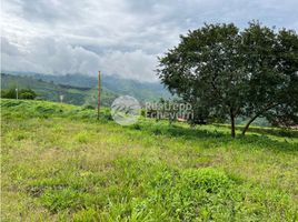  Land for sale in Manizales, Caldas, Manizales