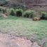  Land for sale in San Vicente, Antioquia, San Vicente