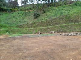  Land for sale in San Vicente, Antioquia, San Vicente