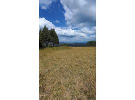  Land for sale in Envigado, Antioquia, Envigado