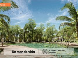  Grundstück zu verkaufen in Progreso, Yucatan, Progreso