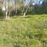  Terrain for sale in Talca, Maule, San Clemente, Talca