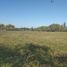  Land for sale in San Clemente, Talca, San Clemente