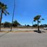  Land for rent in Culiacan, Sinaloa, Culiacan