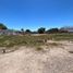 Land for rent in Culiacan, Sinaloa, Culiacan