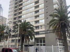 3 Habitación Apartamento en venta en Santiago, Puente Alto, Cordillera, Santiago