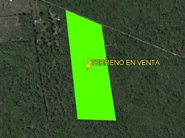  Land for sale in Mococha, Yucatan, Mococha