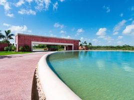  Grundstück zu verkaufen in Conkal, Yucatan, Conkal