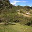 Terrain à vendre à Rionegro, Antioquia, Rionegro