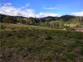 Terrain à vendre à Rionegro, Antioquia, Rionegro