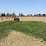  Terreno (Parcela) en venta en San Jeronimo Tecuanipan, Puebla, San Jeronimo Tecuanipan