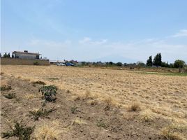  Terreno (Parcela) en venta en San Jeronimo Tecuanipan, Puebla, San Jeronimo Tecuanipan