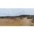  Terreno (Parcela) en venta en La Paz, Baja California Sur, La Paz, Baja California Sur