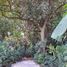3 Schlafzimmer Villa zu verkaufen in Cuernavaca, Morelos, Cuernavaca