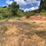  Land for sale in Guarne, Antioquia, Guarne