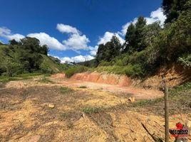  Terreno (Parcela) en venta en Guarne, Antioquia, Guarne