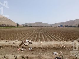  Grundstück zu verkaufen in Los Olivos, Lima, Los Olivos, Lima, Lima