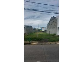  Terreno (Parcela) en venta en Bocas del Toro, Guabito, Changuinola, Bocas del Toro