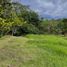  Land for sale in Envigado, Antioquia, Envigado