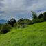  Land for sale in Envigado, Antioquia, Envigado