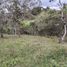  Land for sale in San Vicente, Antioquia, San Vicente